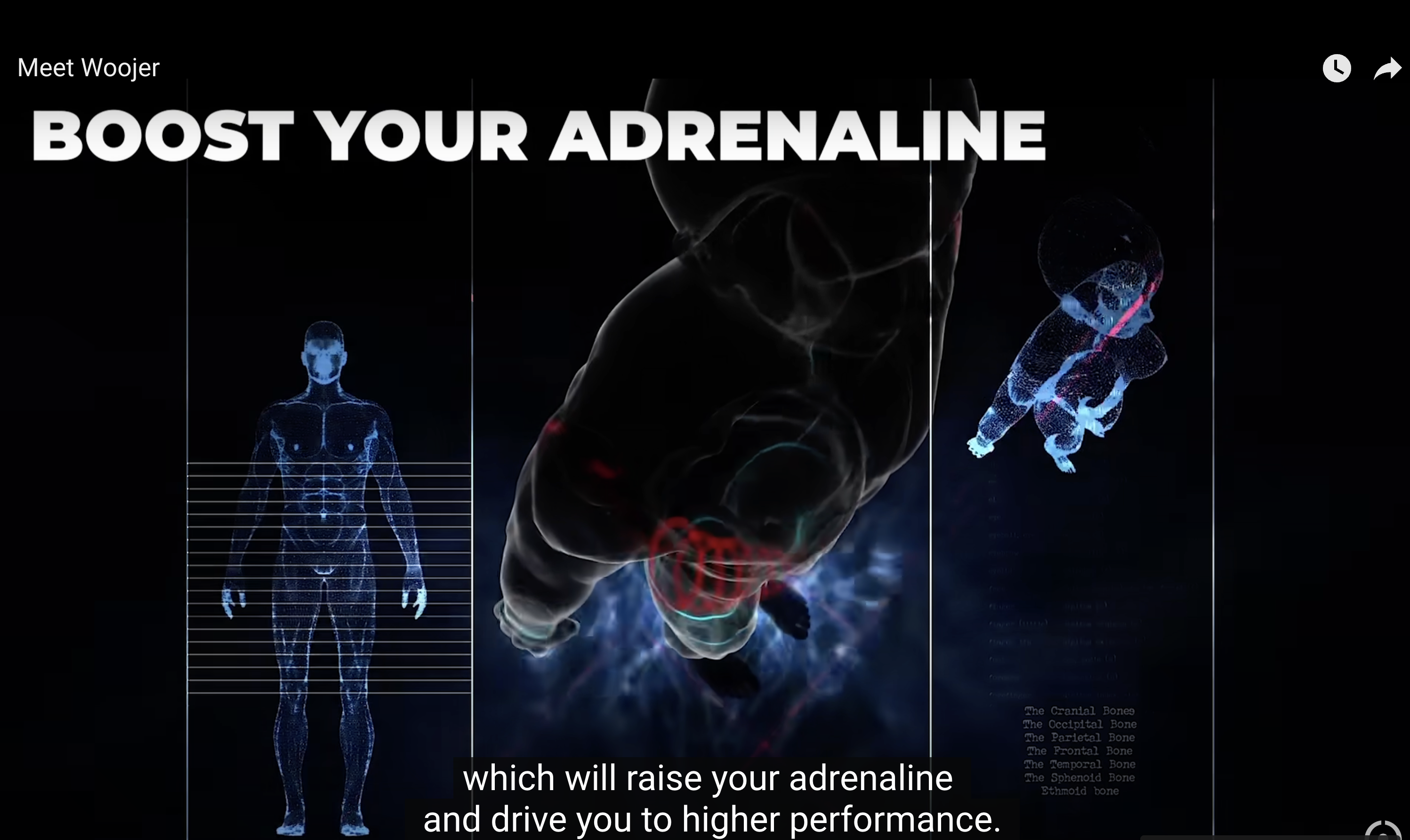 Woojer Vest 3 Haptics